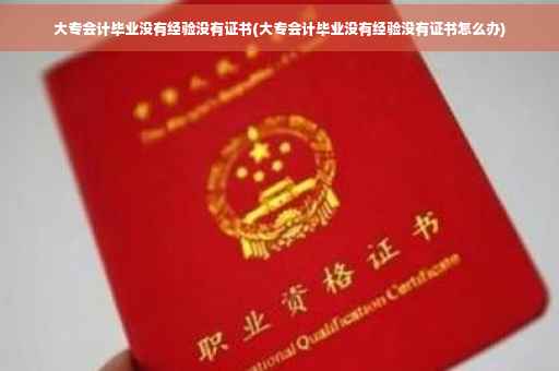 大专会计毕业没有经验没有证书(大专会计毕业没有经验没有证书怎么办)