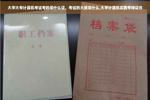 大学大专计算机考试考的是什么证，考试的大纲是什么,大学计算机实践考啥证书