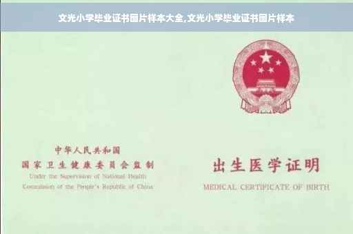 文光小学毕业证书图片样本大全,文光小学毕业证书图片样本