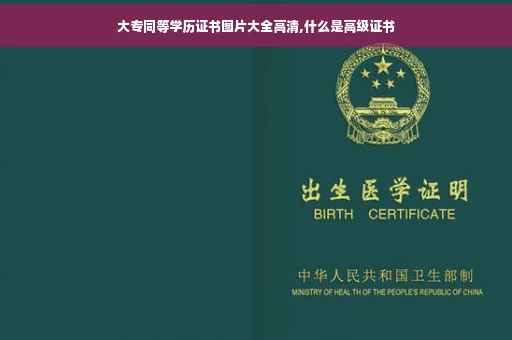 大专同等学历证书图片大全高清,什么是高级证书