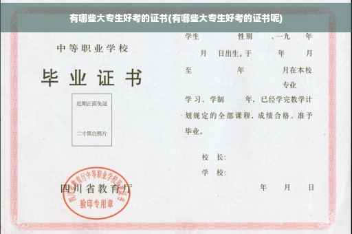 有哪些大专生好考的证书(有哪些大专生好考的证书呢)