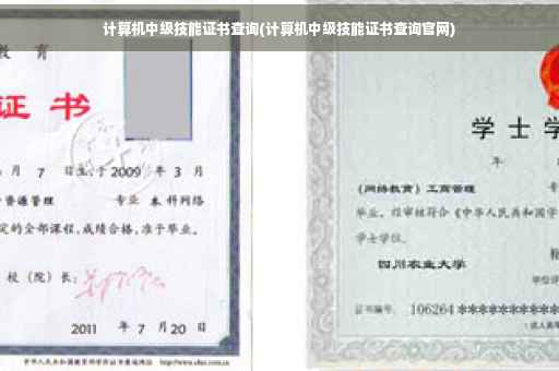 计算机中级技能证书查询(计算机中级技能证书查询官网)