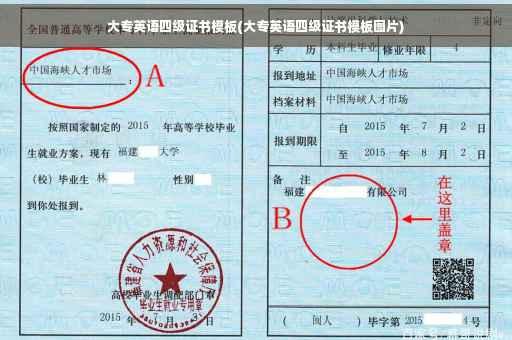 大专英语四级证书模板(大专英语四级证书模板图片)