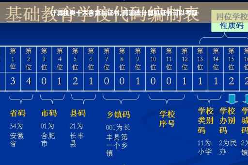 计算机类十大含金量证书,有哪些计算机证书可以考取