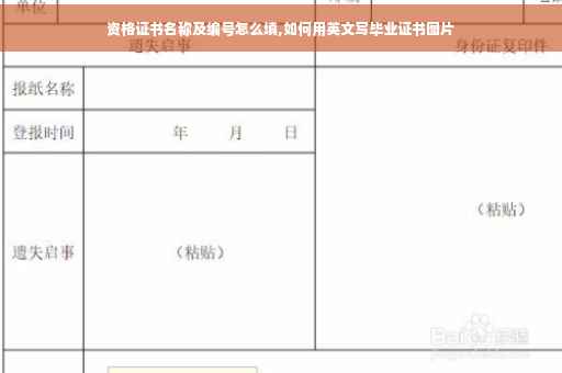 资格证书名称及编号怎么填,如何用英文写毕业证书图片