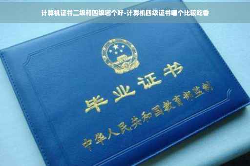 计算机证书二级和四级哪个好-计算机四级证书哪个比较吃香