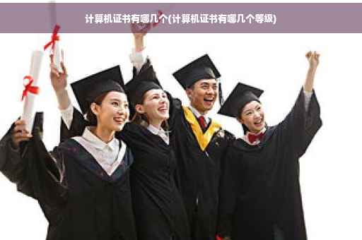 计算机证书有哪几个(计算机证书有哪几个等级)