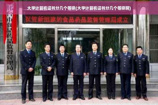 大学计算机证书分几个等级(大学计算机证书分几个等级啊)