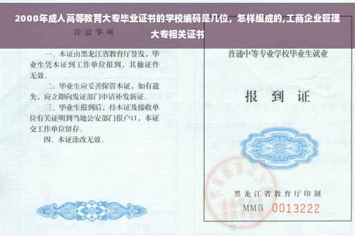 2000年成人高等教育大专毕业证书的学校编码是几位，怎样组成的,工商企业管理大专相关证书