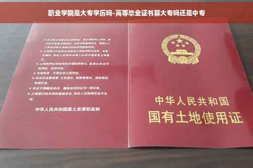 职业学院是大专学历吗-高等毕业证书算大专吗还是中专