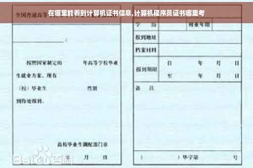 在哪里能看到计算机证书信息,计算机程序员证书哪里考