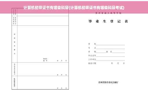 计算机初级证书有哪些科目(计算机初级证书有哪些科目考试)