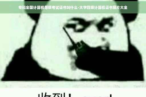 专科全国计算机等级考试证书叫什么-大学四级计算机证书图片大全