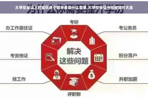 大学毕业证上的编码各个数字各是什么意思,大学毕业证书样板图片大全