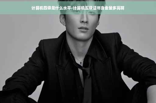 计算机四级是什么水平-计算机五级证书含金量多高啊