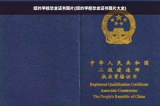 纽约学校毕业证书图片(纽约学校毕业证书图片大全)