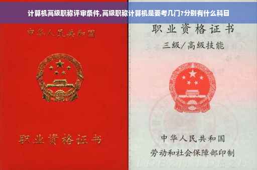 计算机高级职称评审条件,高级职称计算机是要考几门?分别有什么科目