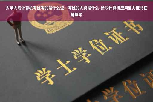 大学大专计算机考试考的是什么证，考试的大纲是什么-长沙计算机应用能力证书在哪里考