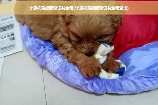 计算机高级职称证书全程(计算机高级职称证书全程查询) 计算机高级职称证书全程(计算机高级职称证书全程查询)