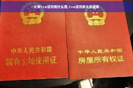 大专1+x证书有什么用,1+x证书多久出成绩