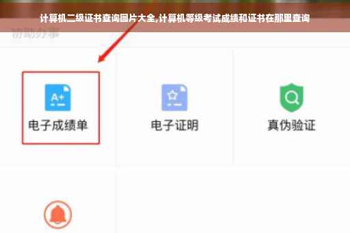 计算机二级证书查询图片大全,计算机等级考试成绩和证书在那里查询