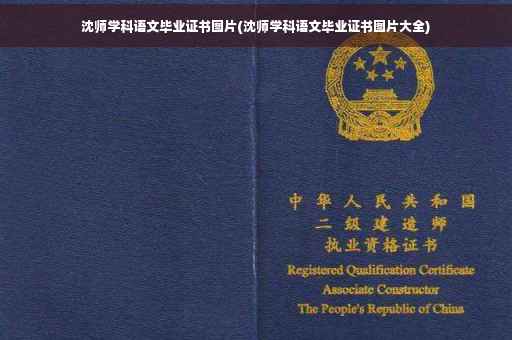 沈师学科语文毕业证书图片(沈师学科语文毕业证书图片大全)