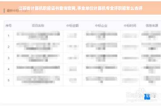 江苏省计算机职称证书查询官网,事业单位计算机专业评职称怎么去评