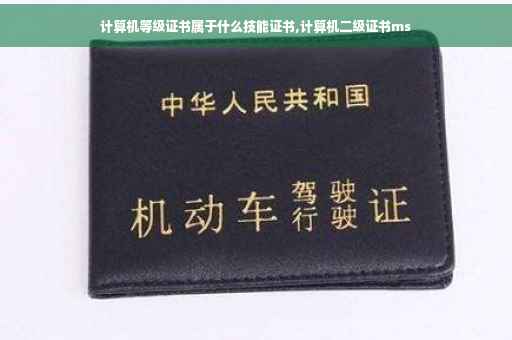 计算机等级证书属于什么技能证书,计算机二级证书ms