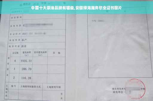 中国十大茶油品牌有哪些,安徽绿海商务毕业证书图片