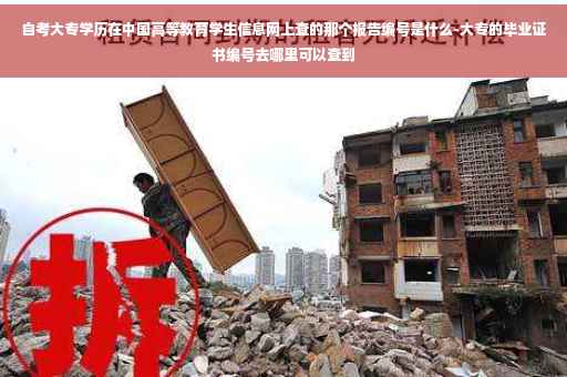 自考大专学历在中国高等教育学生信息网上查的那个报告编号是什么-大专的毕业证书编号去哪里可以查到