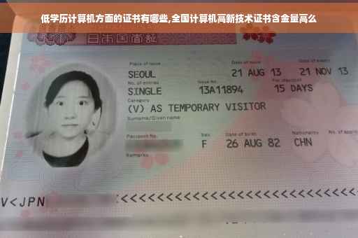 低学历计算机方面的证书有哪些,全国计算机高新技术证书含金量高么