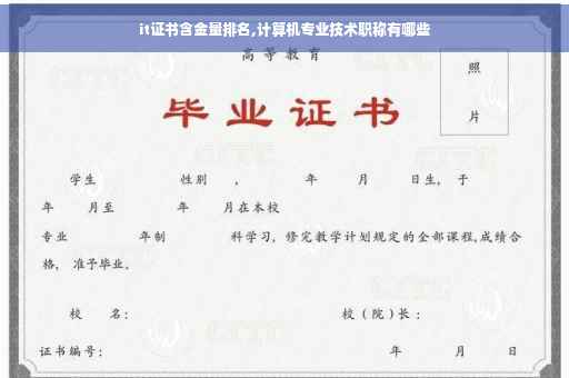 it证书含金量排名,计算机专业技术职称有哪些