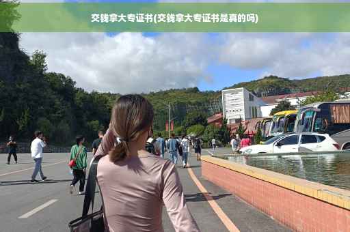 交钱拿大专证书(交钱拿大专证书是真的吗) 交钱拿大专证书(交钱拿大专证书是真的吗)