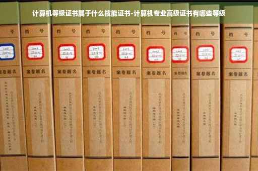 计算机等级证书属于什么技能证书-计算机专业高级证书有哪些等级