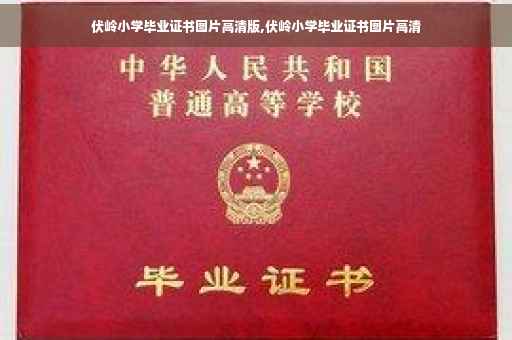 伏岭小学毕业证书图片高清版,伏岭小学毕业证书图片高清