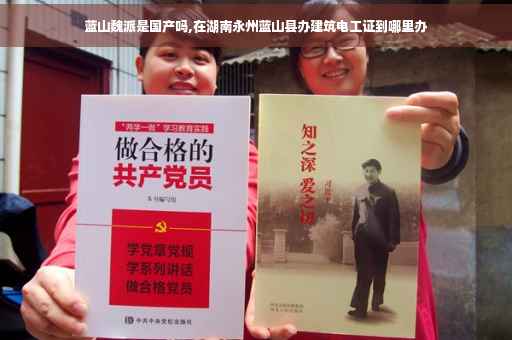 蓝山魏派是国产吗,在湖南永州蓝山县办建筑电工证到哪里办