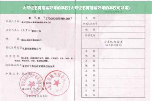 大专证书有哪些好考的学校(大专证书有哪些好考的学校可以考)