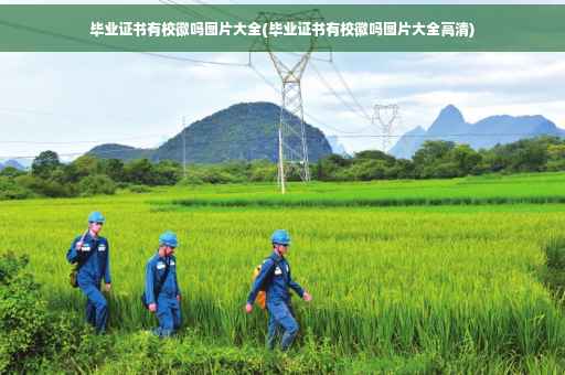 毕业证书有校徽吗图片大全(毕业证书有校徽吗图片大全高清)