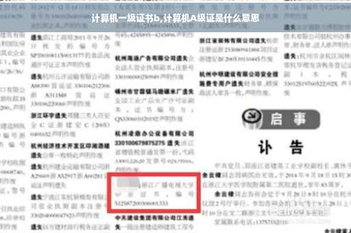 计算机一级证书b,计算机A级证是什么意思