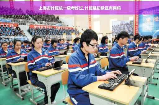 上海市计算机一级考好过,计算机初级证有用吗