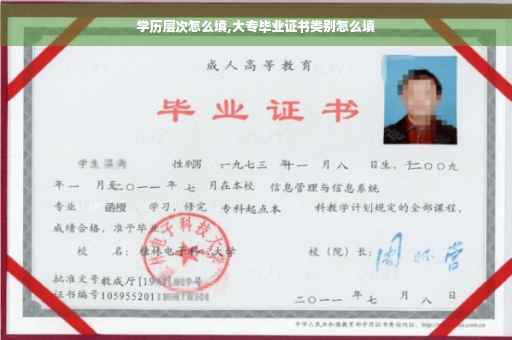 学历层次怎么填,大专毕业证书类别怎么填
