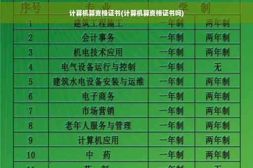 计算机算资格证书(计算机算资格证书吗)