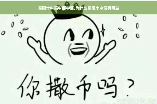阜阳十中高中部学费,为什么阜阳十中没有网站