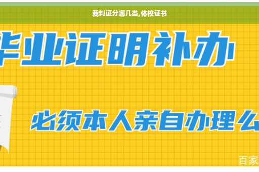 裁判证分哪几类,体校证书