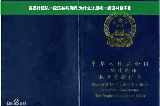 英语计算机一级证书有用吗,为什么计算机一级证书查不到