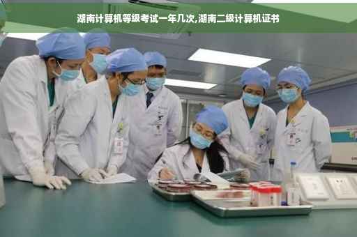 湖南计算机等级考试一年几次,湖南二级计算机证书