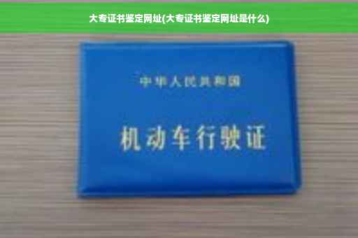 大专证书鉴定网址(大专证书鉴定网址是什么)
