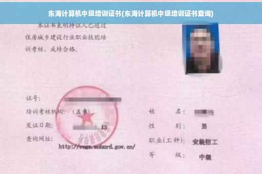 东海计算机中级培训证书(东海计算机中级培训证书查询)