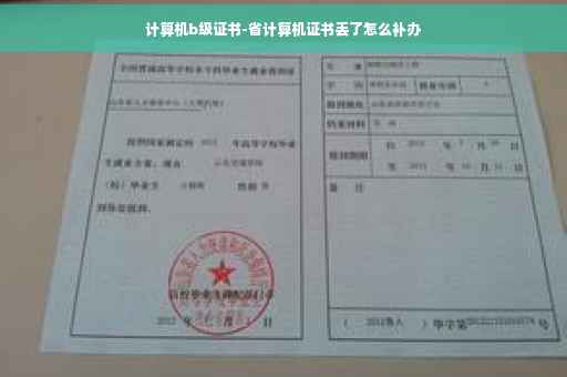 计算机b级证书-省计算机证书丢了怎么补办