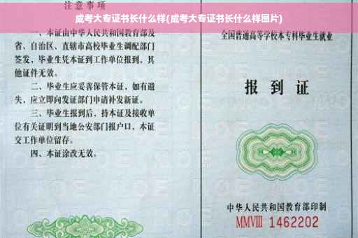成考大专证书长什么样(成考大专证书长什么样图片)